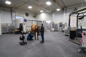 Allegheny Equine Hospital