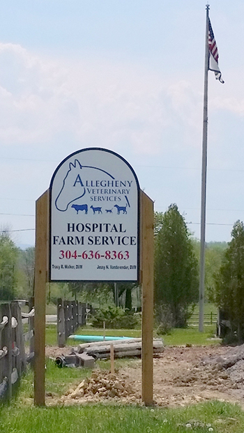 Animal Hospital | 24 Hour | Allegheny Equine Veterinary Service